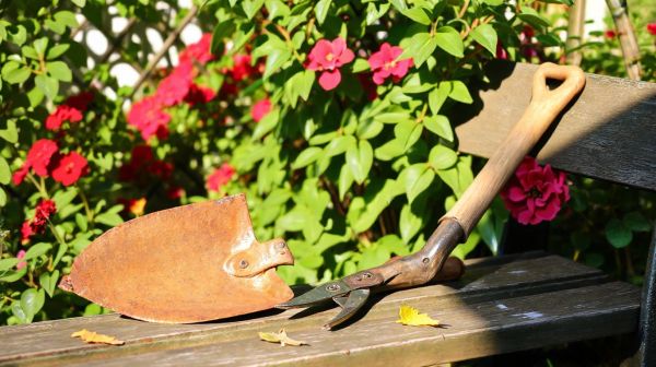 Top conseils pour sélectionner des outils de jardinage faciles