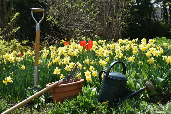 Top conseils pour sélectionner des outils de jardinage faciles